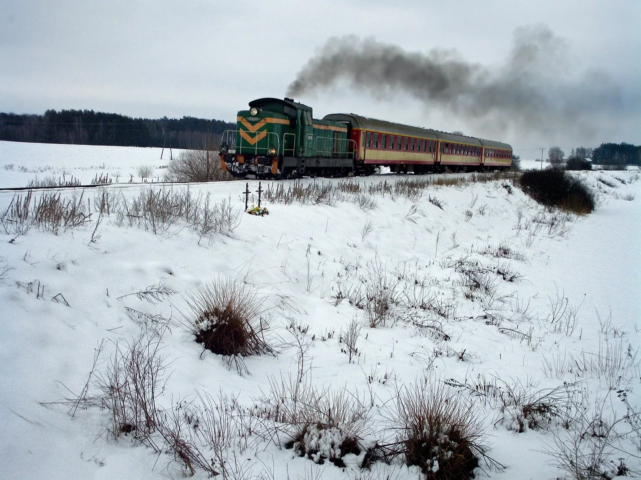 Pociąg regionalny w Polsce wśród pięknych krajobrazów