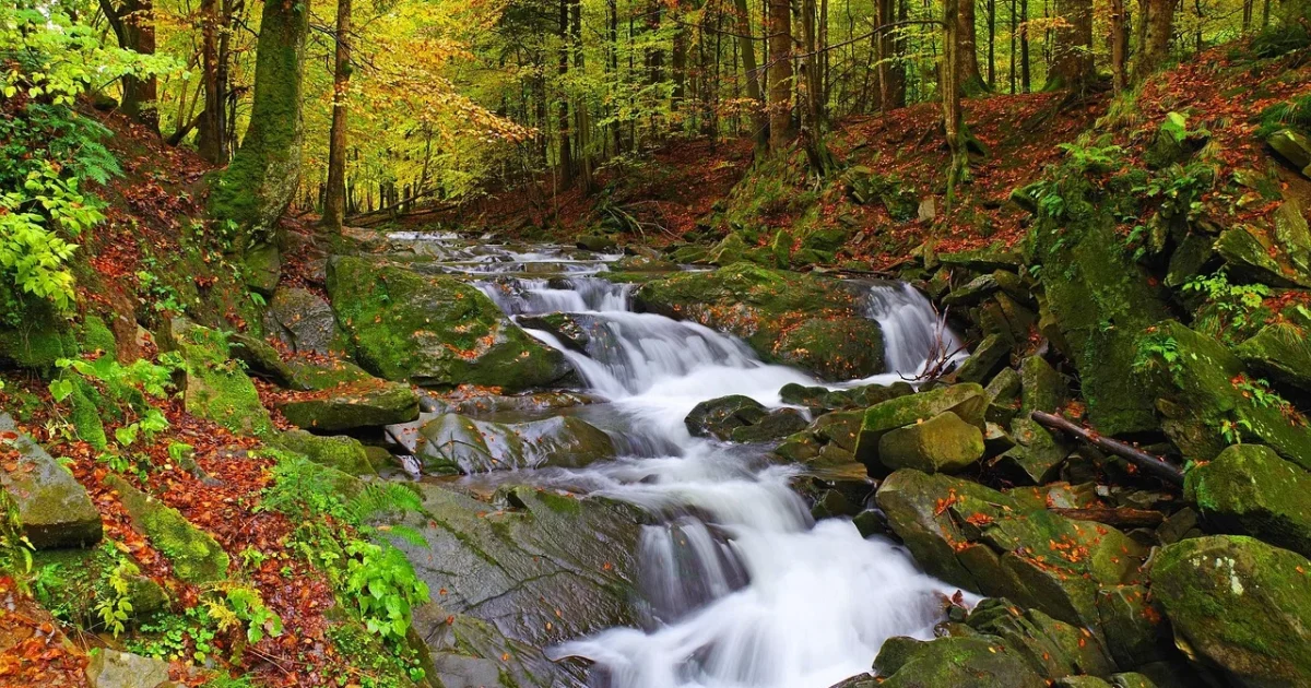 Bieszczady slow travel 1