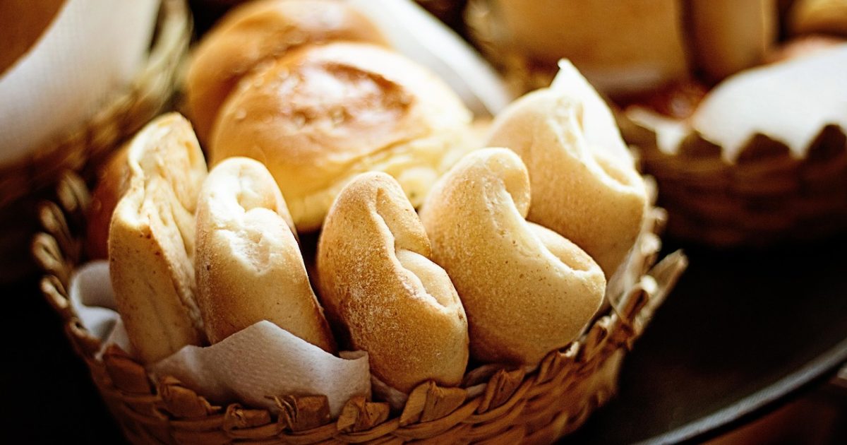 Warsztaty Akademii Siedliska pod Lipami — zdjęcie 1